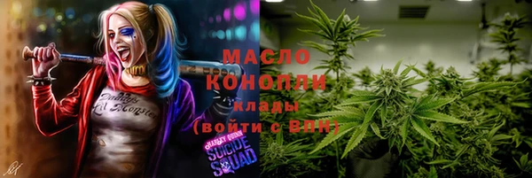 СК Бронницы