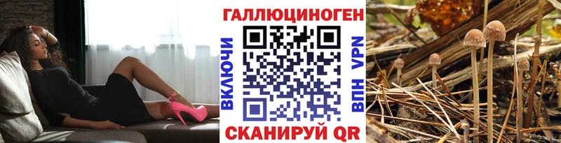 продажа наркотиков  Нариманов  Галлюциногенные грибы прущие грибы 